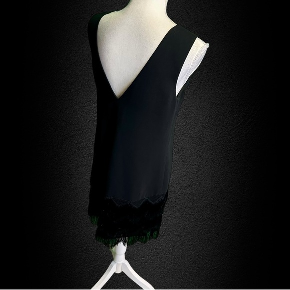 BCBGMaxAzria ‘Addilyn’ Fringe Trim Shift Dress in Black Size 6 - Picture 11 of 15